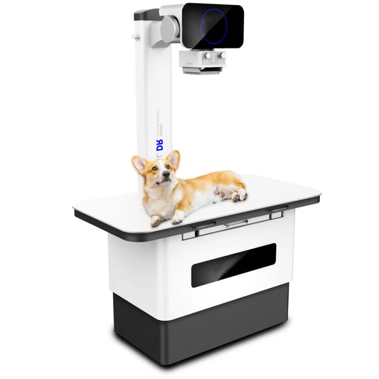 Imaging Detector Supply Aed Mode Mobile X Ray Dr Xray System Software Portable X-ray Machine Veterinary Instrument