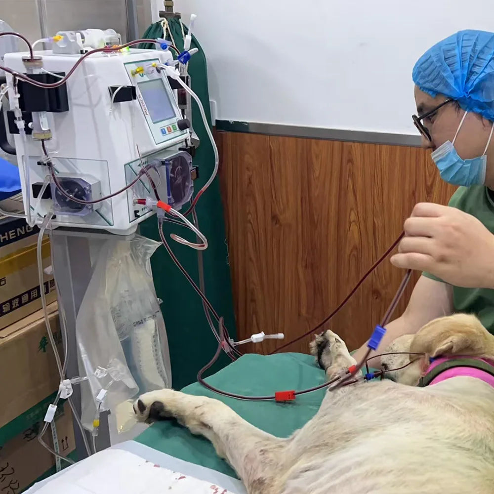 VETsmart's Advanced Animal Extracorporeal Therapeutic System for Dog's Hemodialysis Dialysis Machines